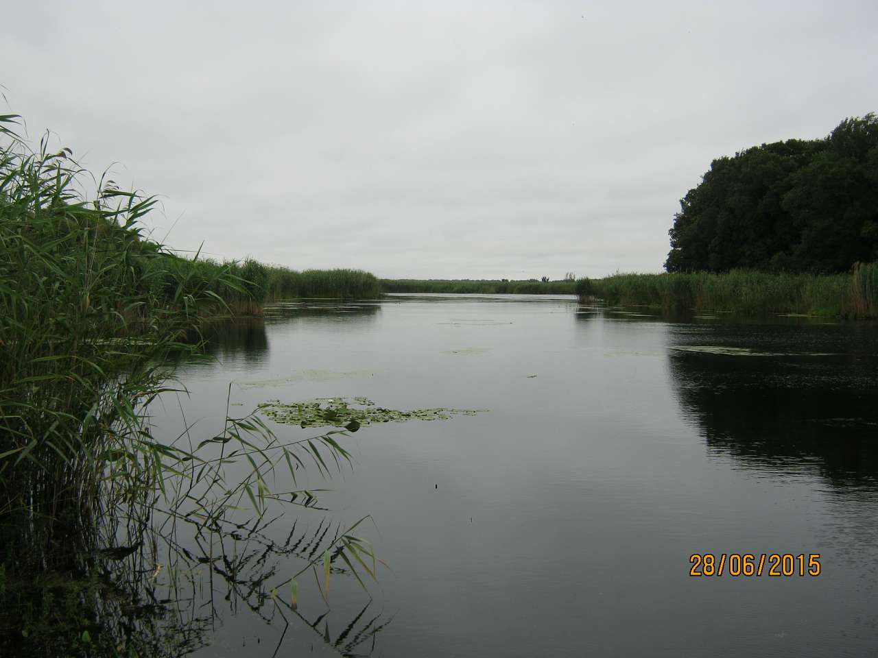  Єньки  - Єньки