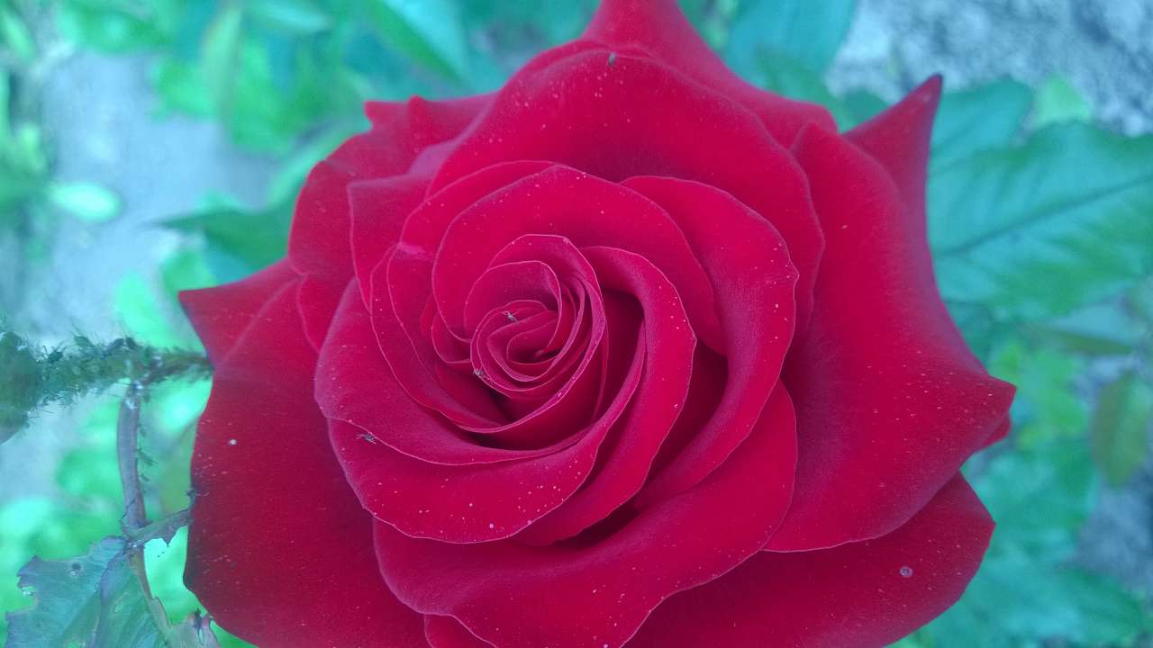 Літо в Скалі - Скала