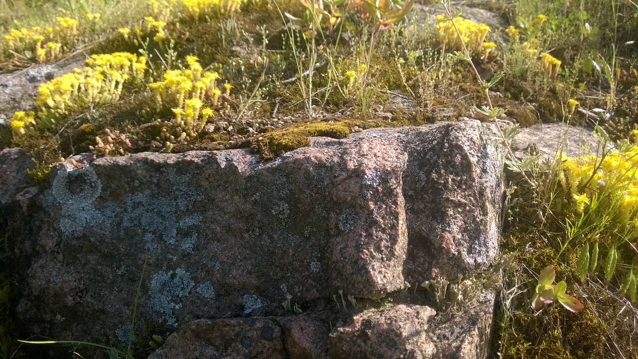 Літо в Скалі - Скала