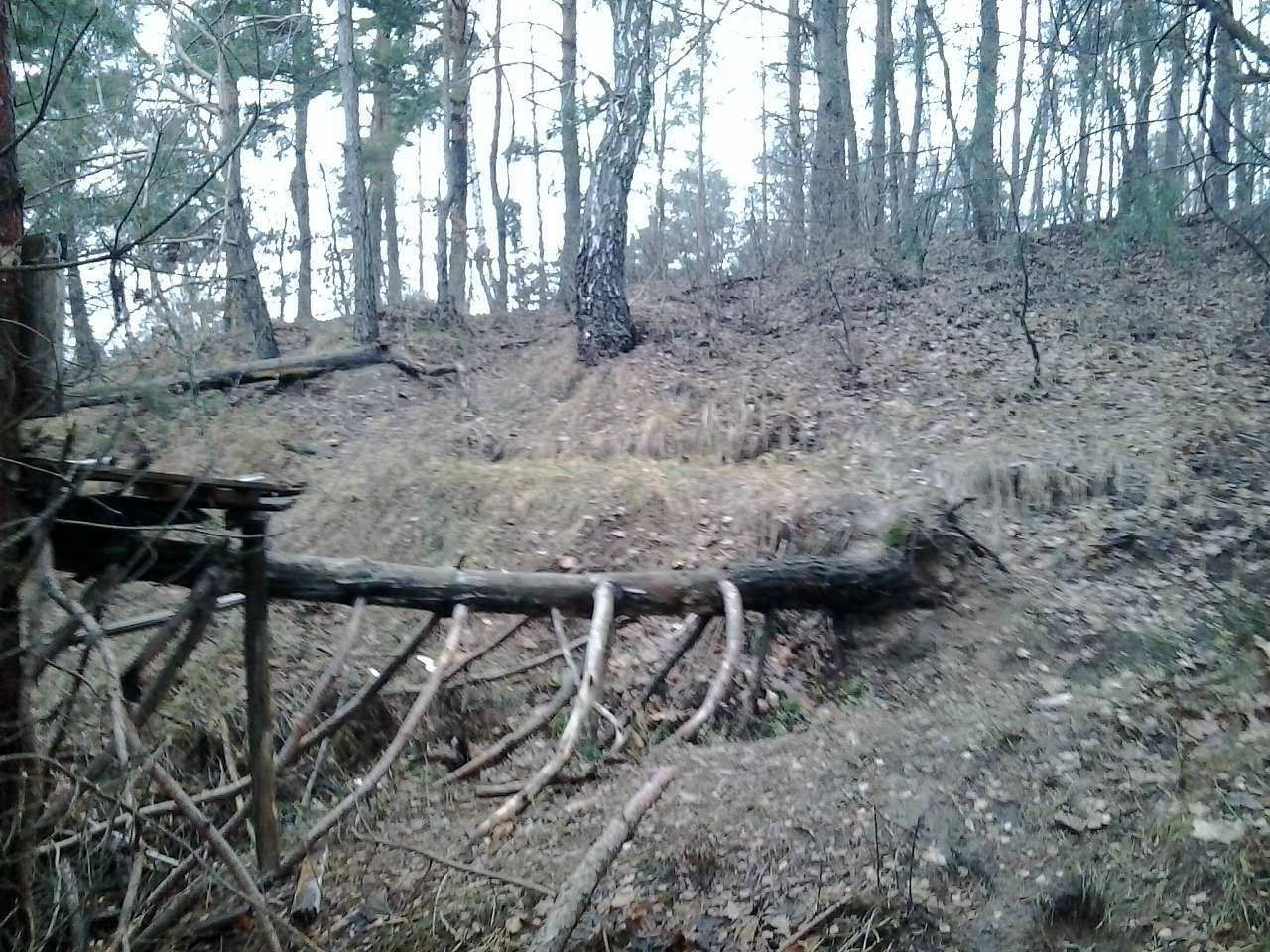 ЗИМА У НЕГРАШАХ - Неграши