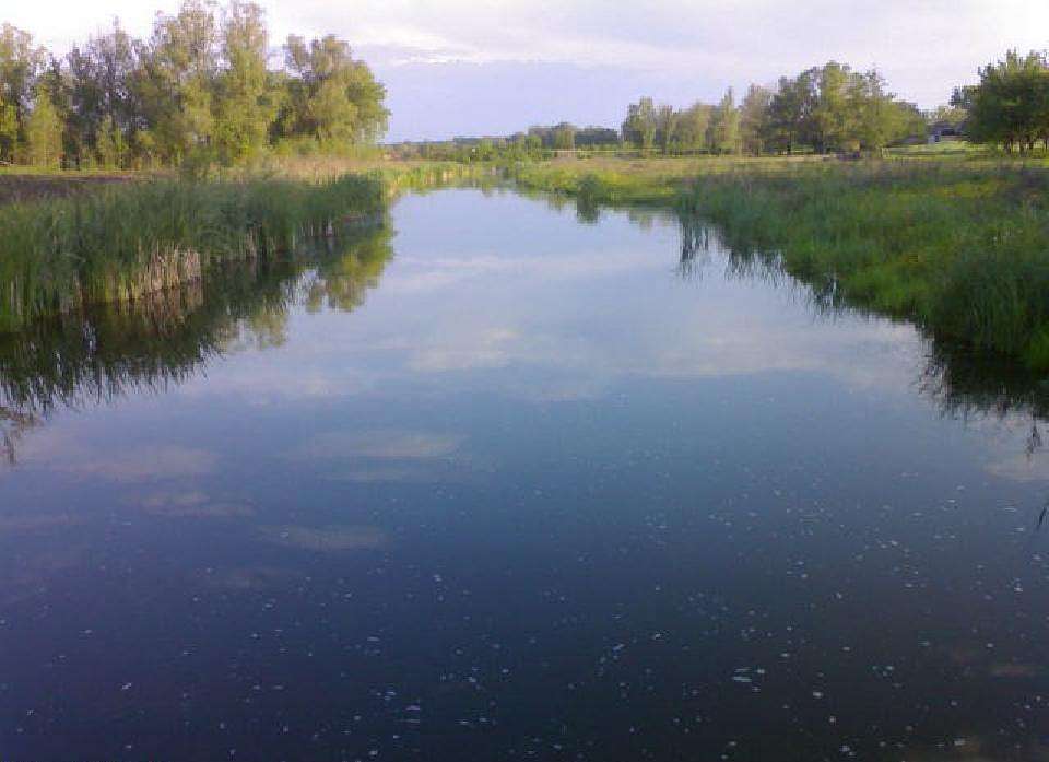 ЛІТО У СТЕЦІВЦІ  - Стецівка