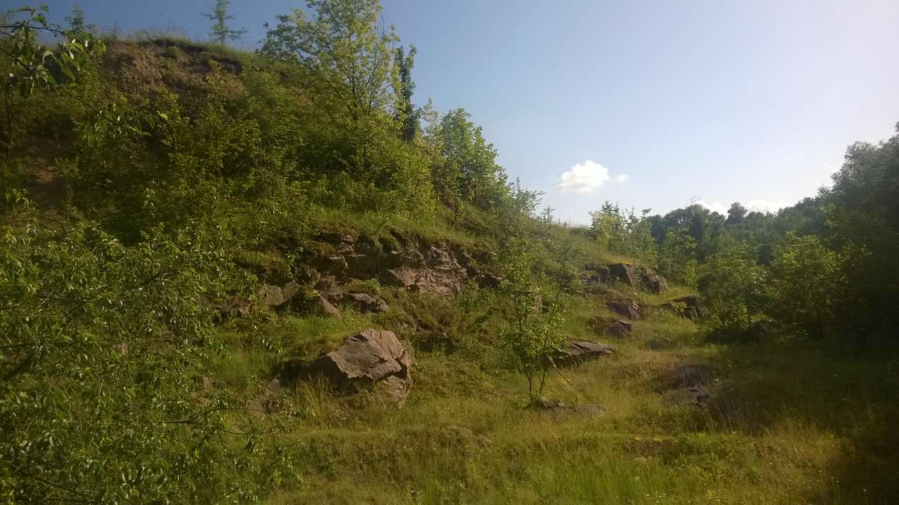 Літо в Скалі - Скала