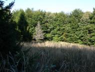 Стричава з panoramio.com