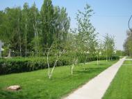 Менжинське з panoramio.com