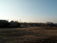 Крикливец - Последние фото