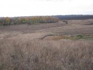 Довжик - Останні фото