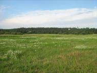 Седнів з panoramio.com