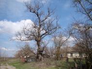 Козлів з panoramio.com