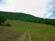 Нагірне з panoramio.com