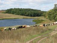 Бірки з panoramio.com