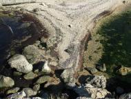 Щолкіне з panoramio.com