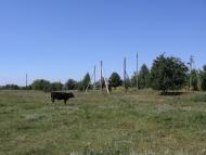 Жовтневий Промінь з panoramio.com