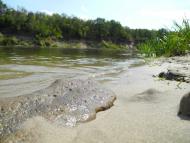 Пархоменко з panoramio.com