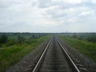 Вербка з panoramio.com