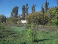 Матвіївка з panoramio.com