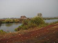 Вишеньки з panoramio.com