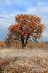 Ямне з panoramio.com