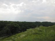 Сивороги з panoramio.com