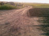 Перемога з panoramio.com