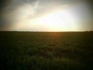 Матроська з panoramio.com