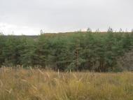 Довжик з panoramio.com