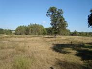 Слобода з panoramio.com