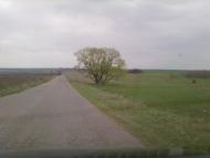 Мар'їне - Останні фото