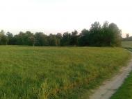 Андрушівка з panoramio.com