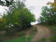 Плотинне з panoramio.com