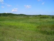 Маневичі з panoramio.com