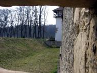 Козулька з panoramio.com