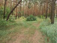 Борщів з panoramio.com