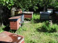 Борщівка з panoramio.com