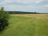 Михля з panoramio.com