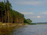 Циблі з panoramio.com