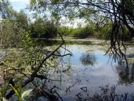 Новоугрузьке з panoramio.com