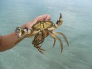 Озерівка з panoramio.com