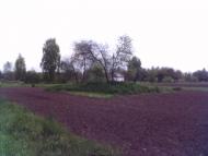 Озерне з panoramio.com