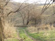 Міусинськ з panoramio.com (ч.2)