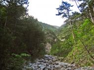 Совєтське з panoramio.com (ч.2)