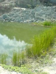 Стайки з panoramio.com