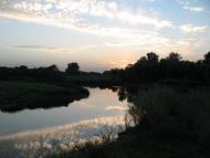 Синичине з panoramio.com