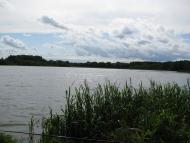 Михальчина-Слобода з panoramio.com