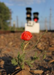 Колодяжне з panoramio.com