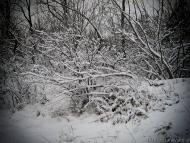 Зугрес з panoramio.com (ч.2)