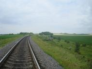 Вербка з panoramio.com