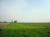 Дроздні з panoramio.com