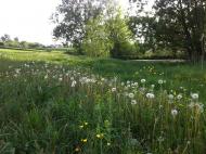 Іванівка з panoramio.com