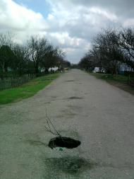 Ботанічне з panoramio.com