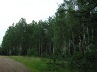 Горщик з panoramio.com